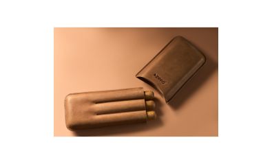 Vintage Cigar Case (right)